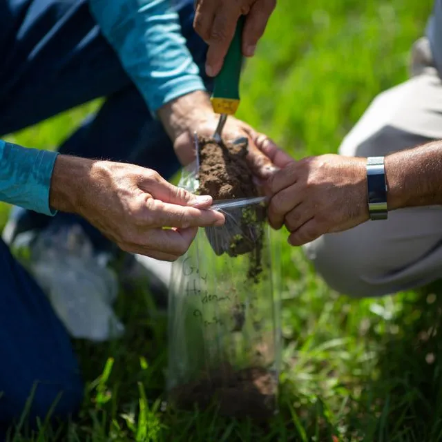 thumbnail for publication: When to Lime Soil and Liming Products Available in Florida